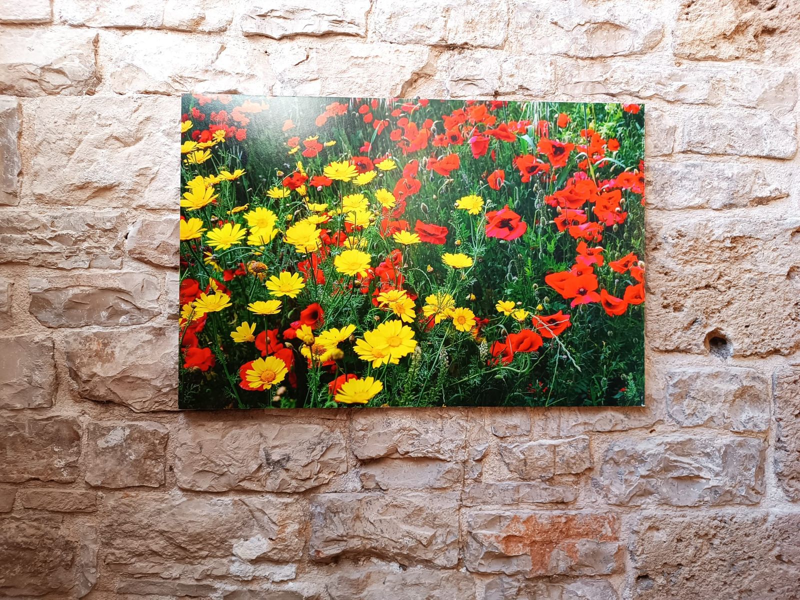 POETIC EYE REALITYAND MEMORY - BITONTO 2025 — fotografia 5 di Francesco Loliva