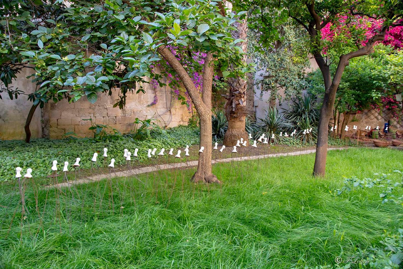 LECCE - CORTILI APERTI — fotografia 19 di Francesco Loliva