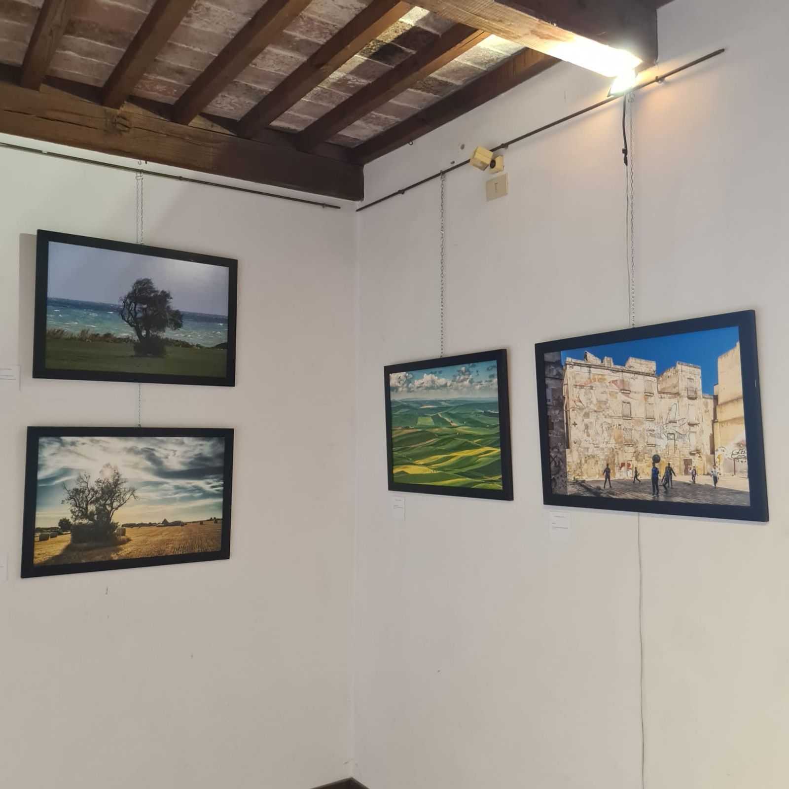"ECOS ARTIS" CHIANCIANO 3-17 AGOSTO 24 — fotografia 9 di Francesco Loliva