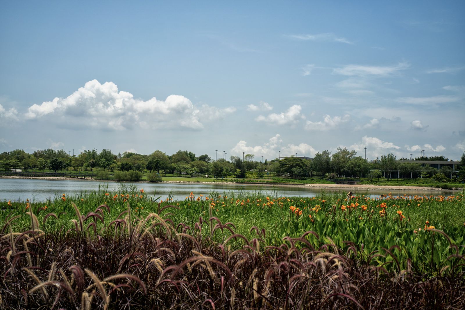 SHENZHEN