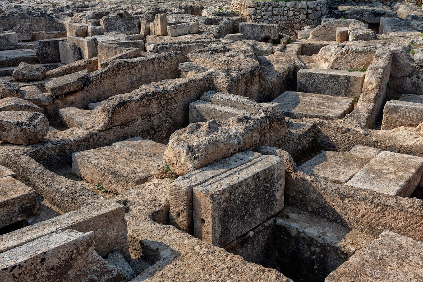PARCO ARCHEOLOGICO DI EGNAZIA — fotografia 6 di Francesco Loliva