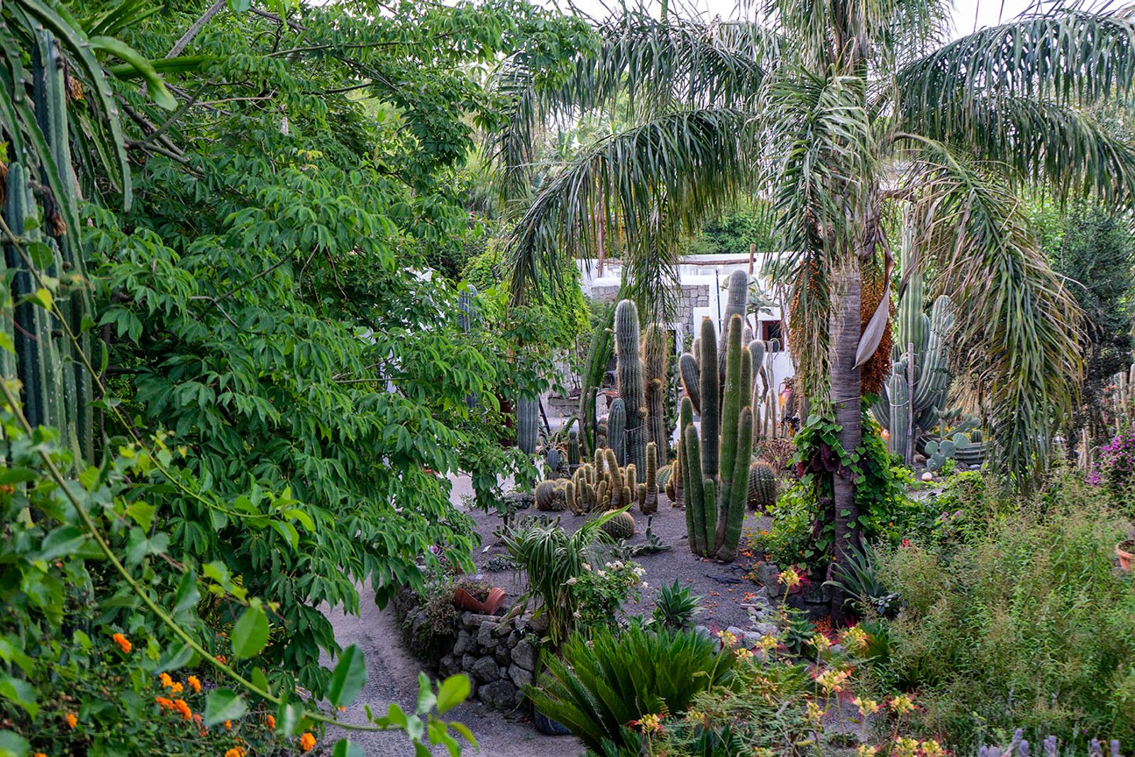 GIARDINI RAVINO - FORIO D'ISCHIA — fotografia 18 di Francesco Loliva