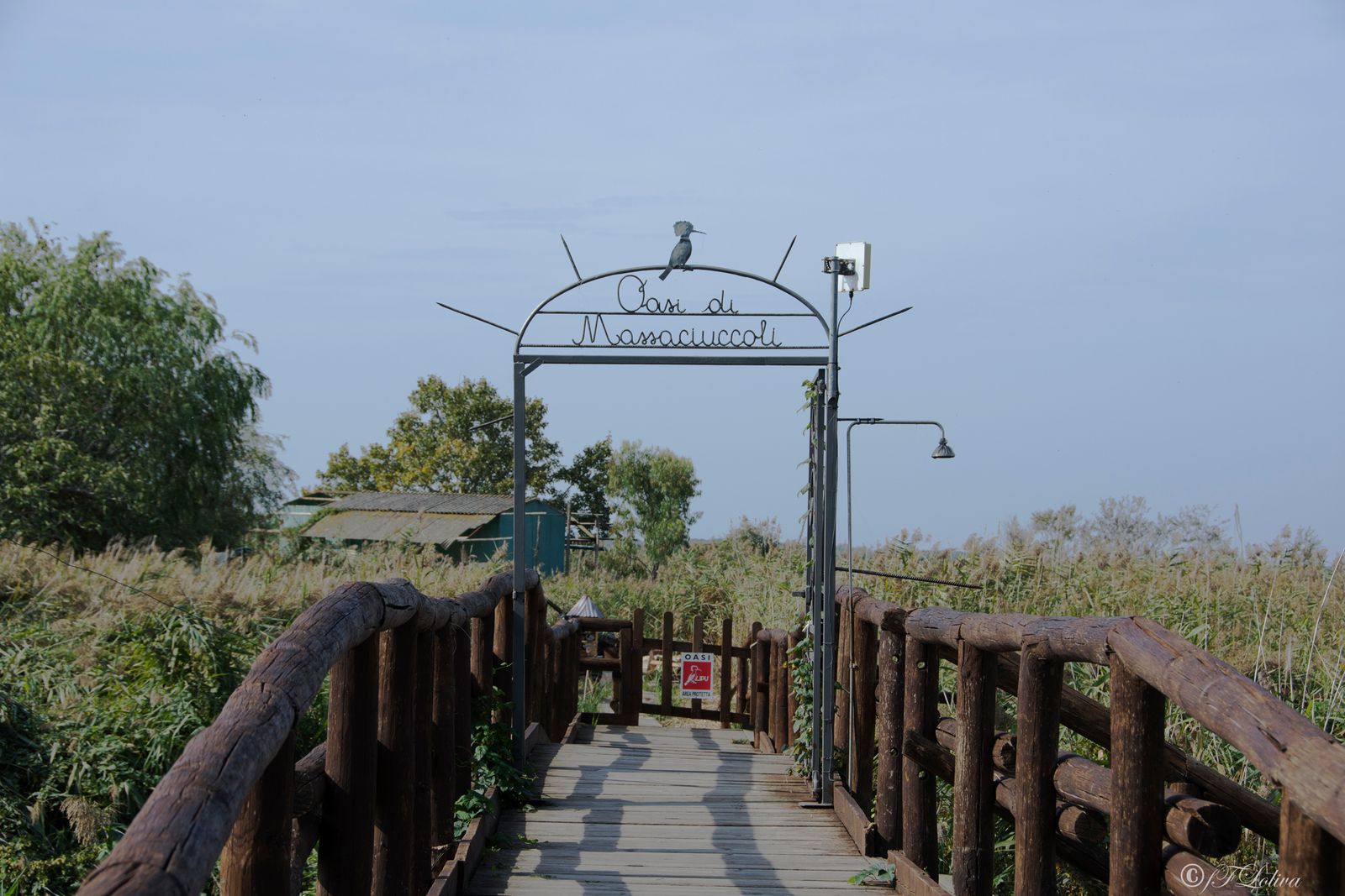 oasi naturle del lago di massiaciuccoli
