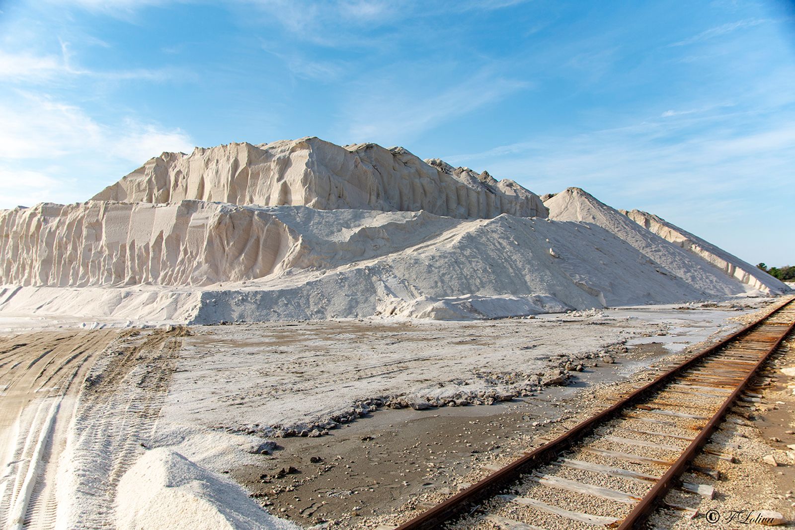 MARGHERITA DI SAVOIA - LE SALINE — fotografia 13 di Francesco Loliva