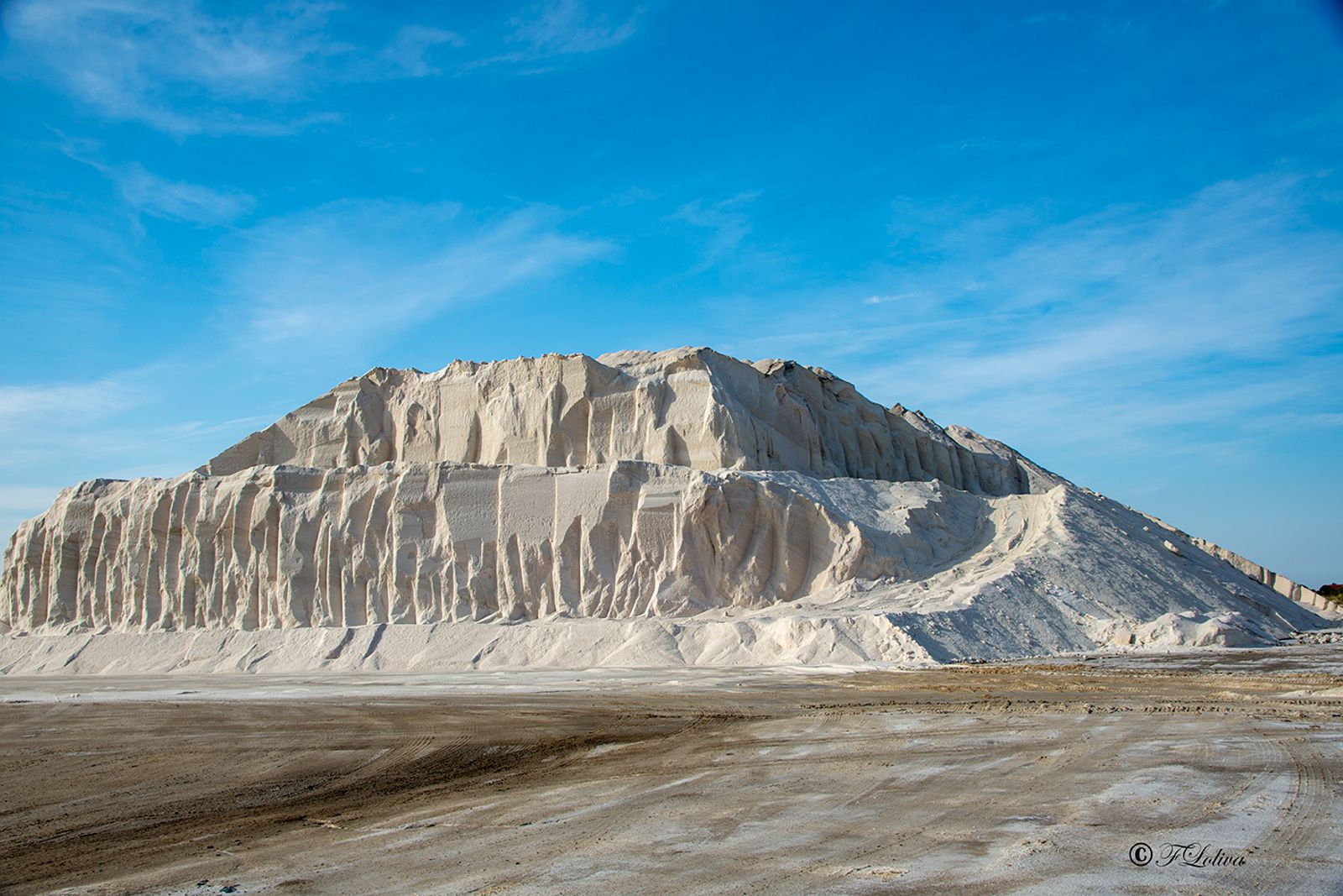 MARGHERITA DI SAVOIA - LE SALINE — fotografia 12 di Francesco Loliva