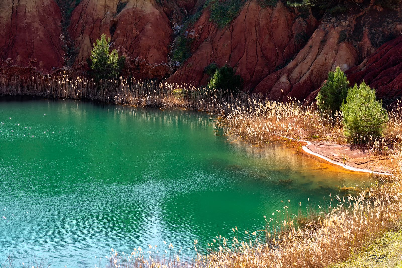 CAVA DI BAUXITE — fotografia 6 di Francesco Loliva