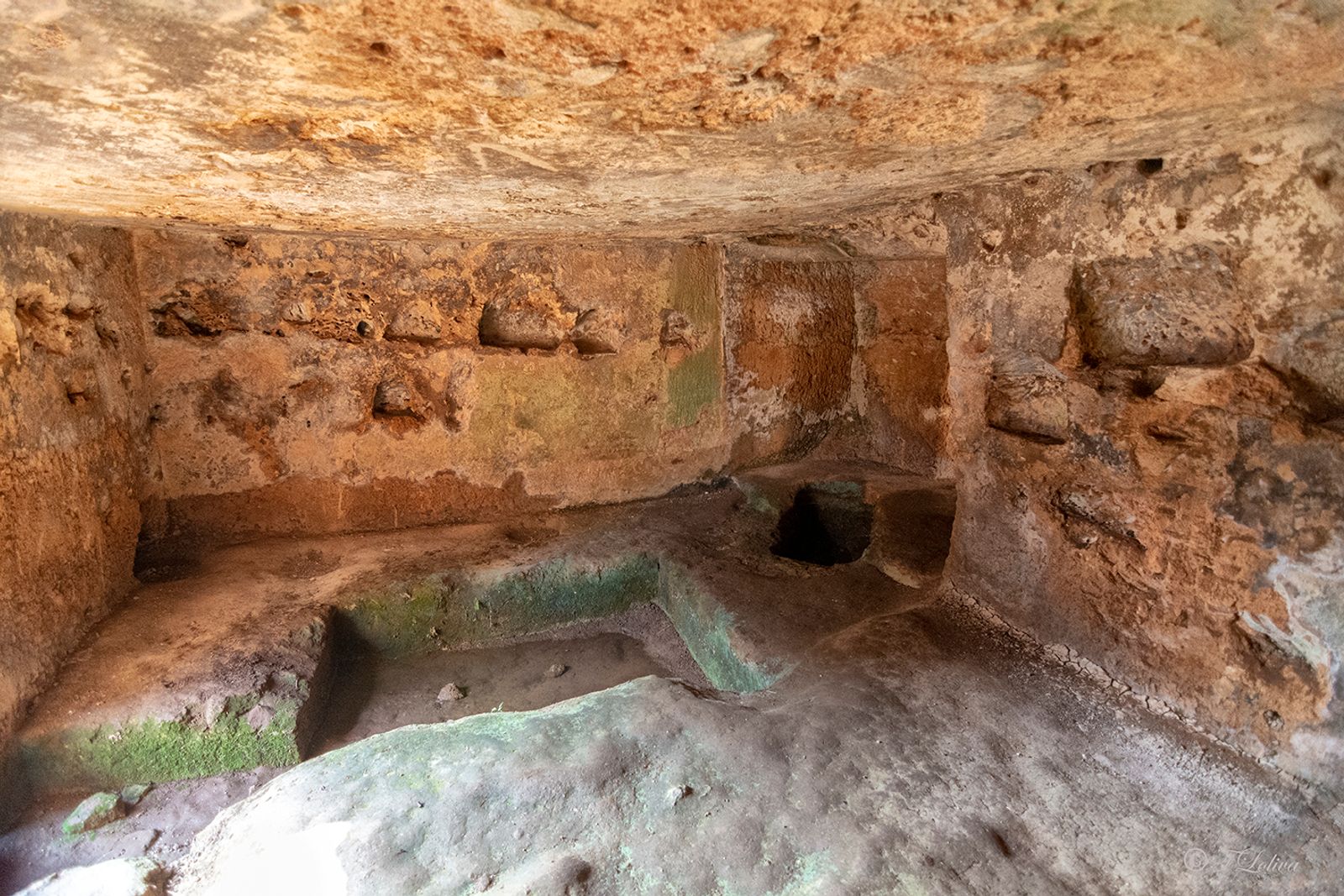 PARCO ARCHEOLOGICO DI EGNAZIA — fotografia 12 di Francesco Loliva