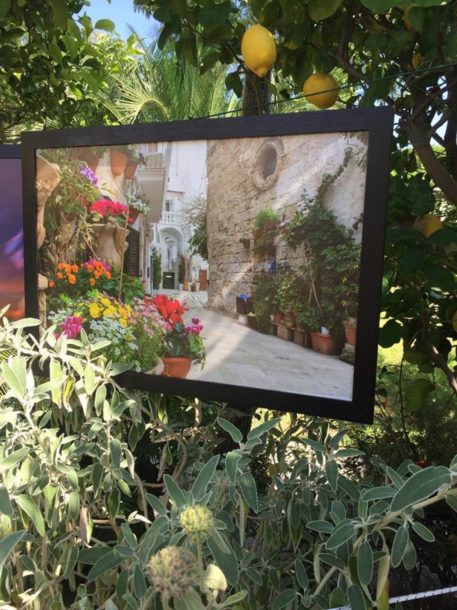 ISCHIA CONTEMPRANY ART 14-24 LUGLIO 2019 — fotografia 2 di Francesco Loliva