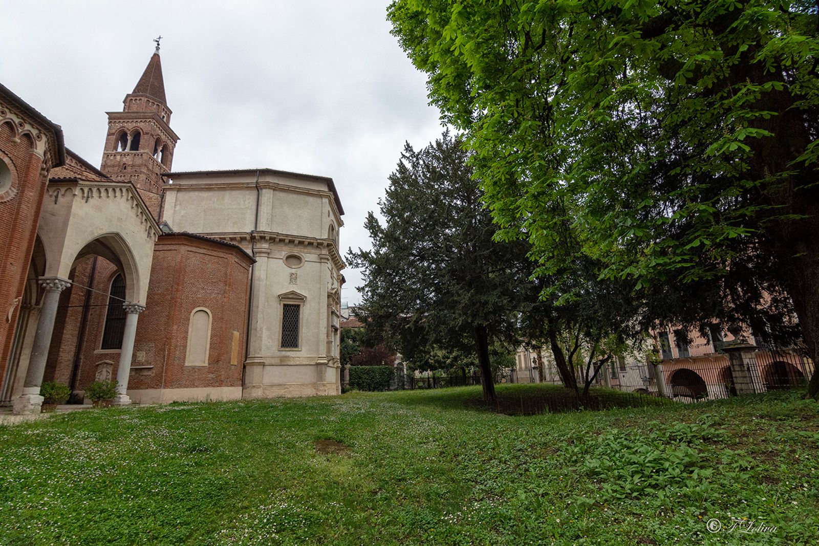 VICENZA 2019 — fotografia 20 di Francesco Loliva