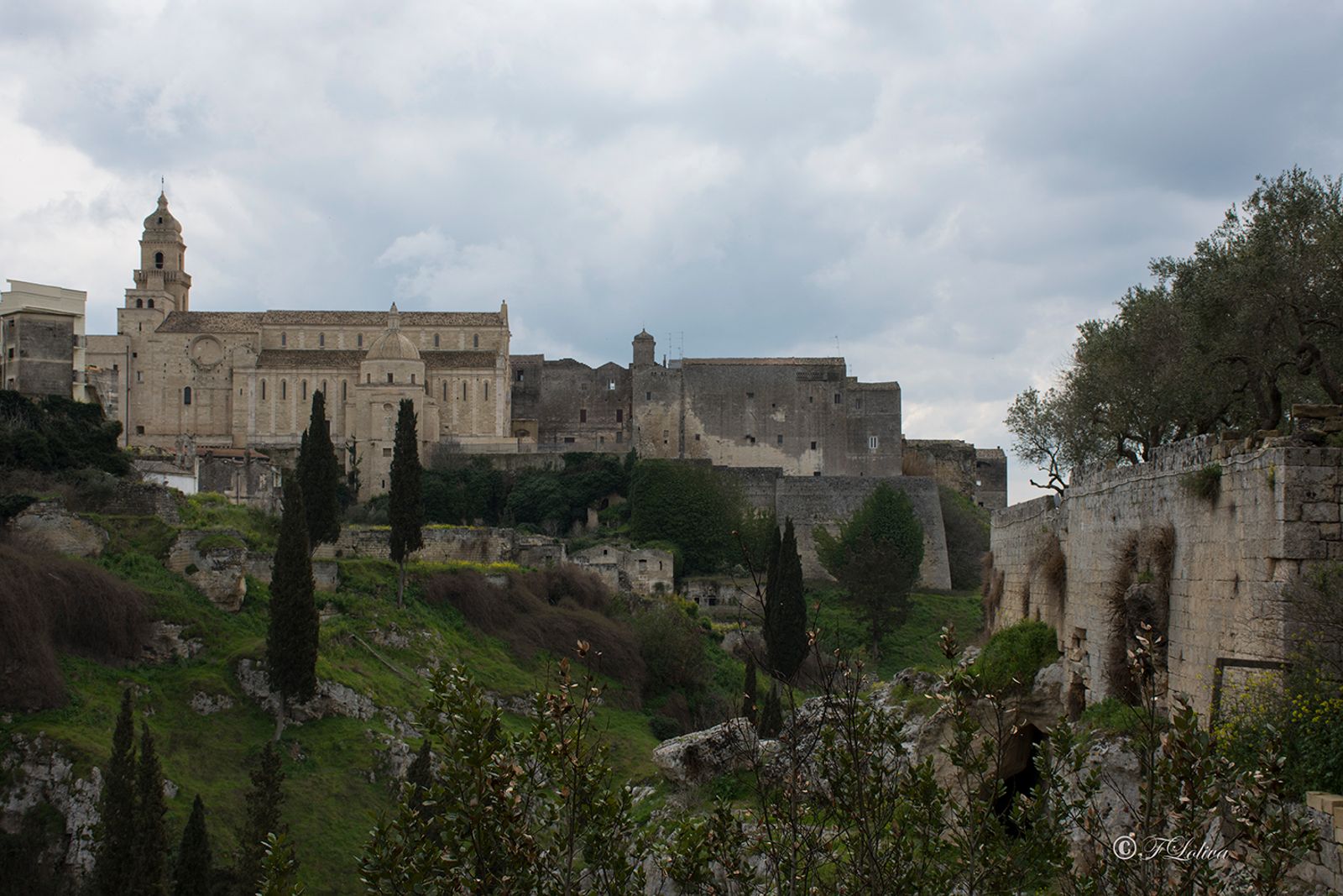 GRAVINA IN PUGLIA — fotografia 14 di Francesco Loliva