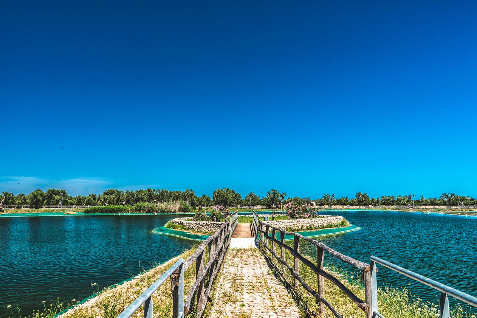 LAGO FORCATELLA - FASANO (BR) — fotografia 8 di Francesco Loliva