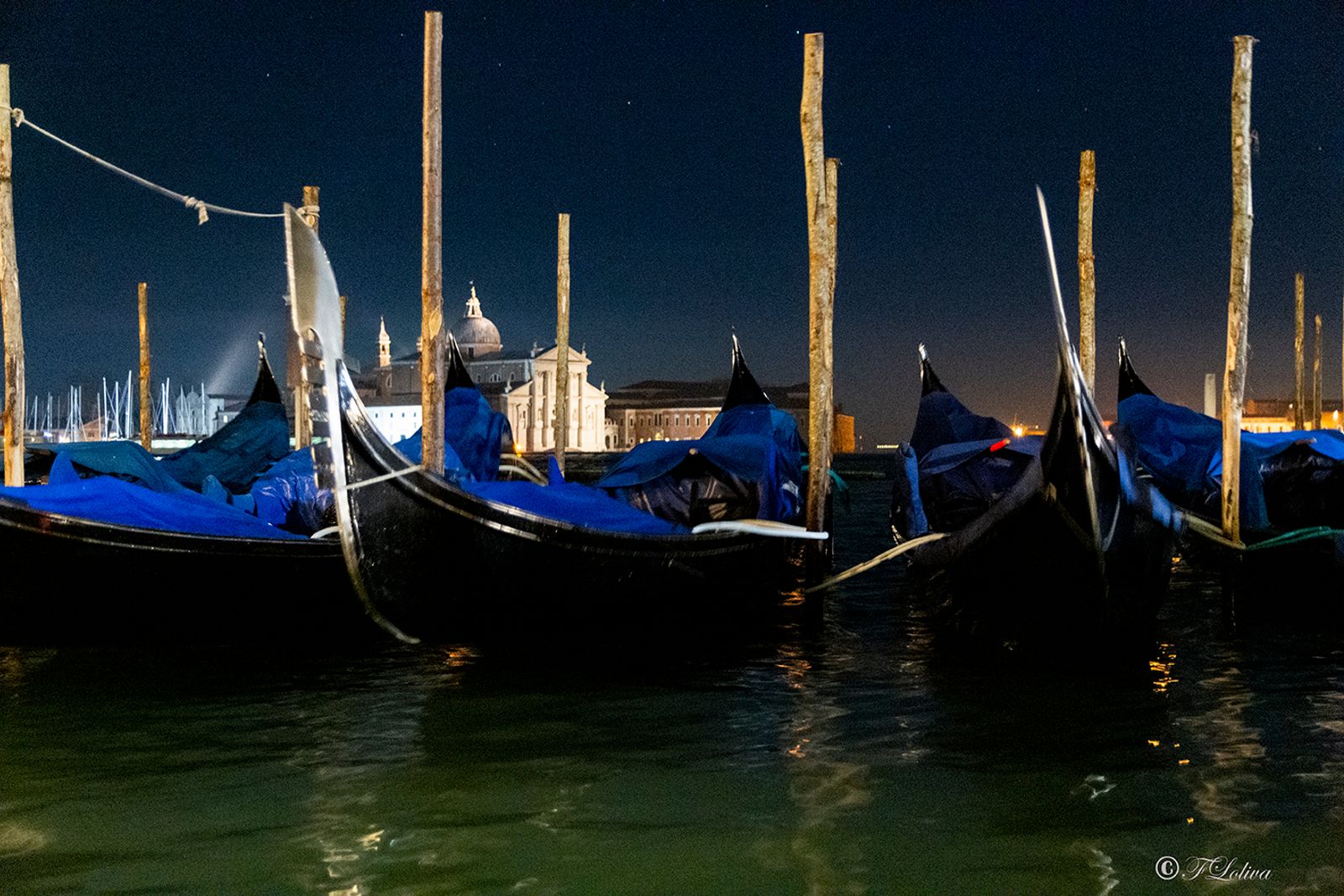 VENEZIA 2019 — fotografia 35 di Francesco Loliva