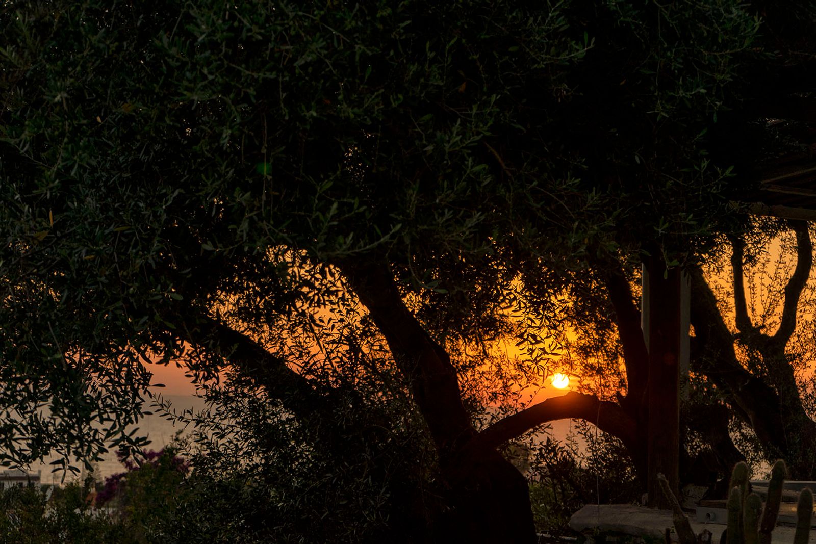 TRAMONTO ISCHITANO #8