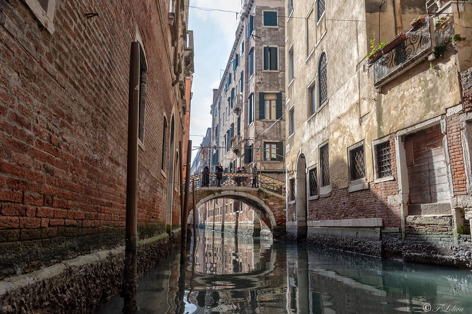 VENEZIA 2019 — fotografia 9 di Francesco Loliva
