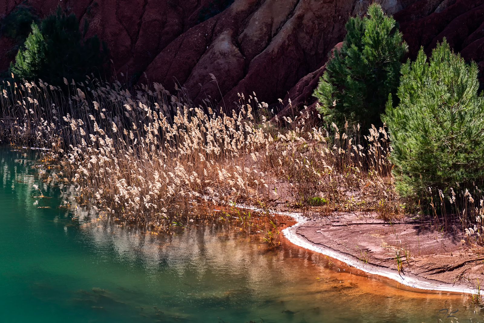 CAVA DI BAUXITE — fotografia 4 di Francesco Loliva