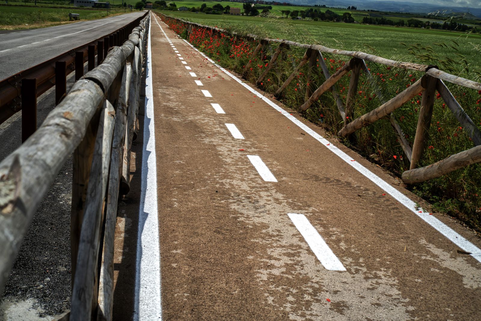 ALTA MURGIA PRIMAVERA 2026 — fotografia 8 di Francesco Loliva