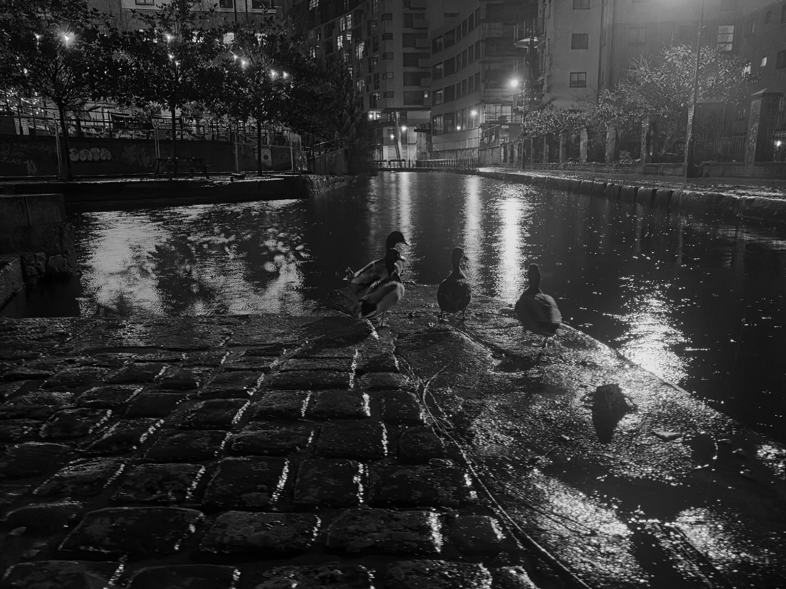 NATALE A MANCHESTER — fotografia 80 di Francesco Loliva