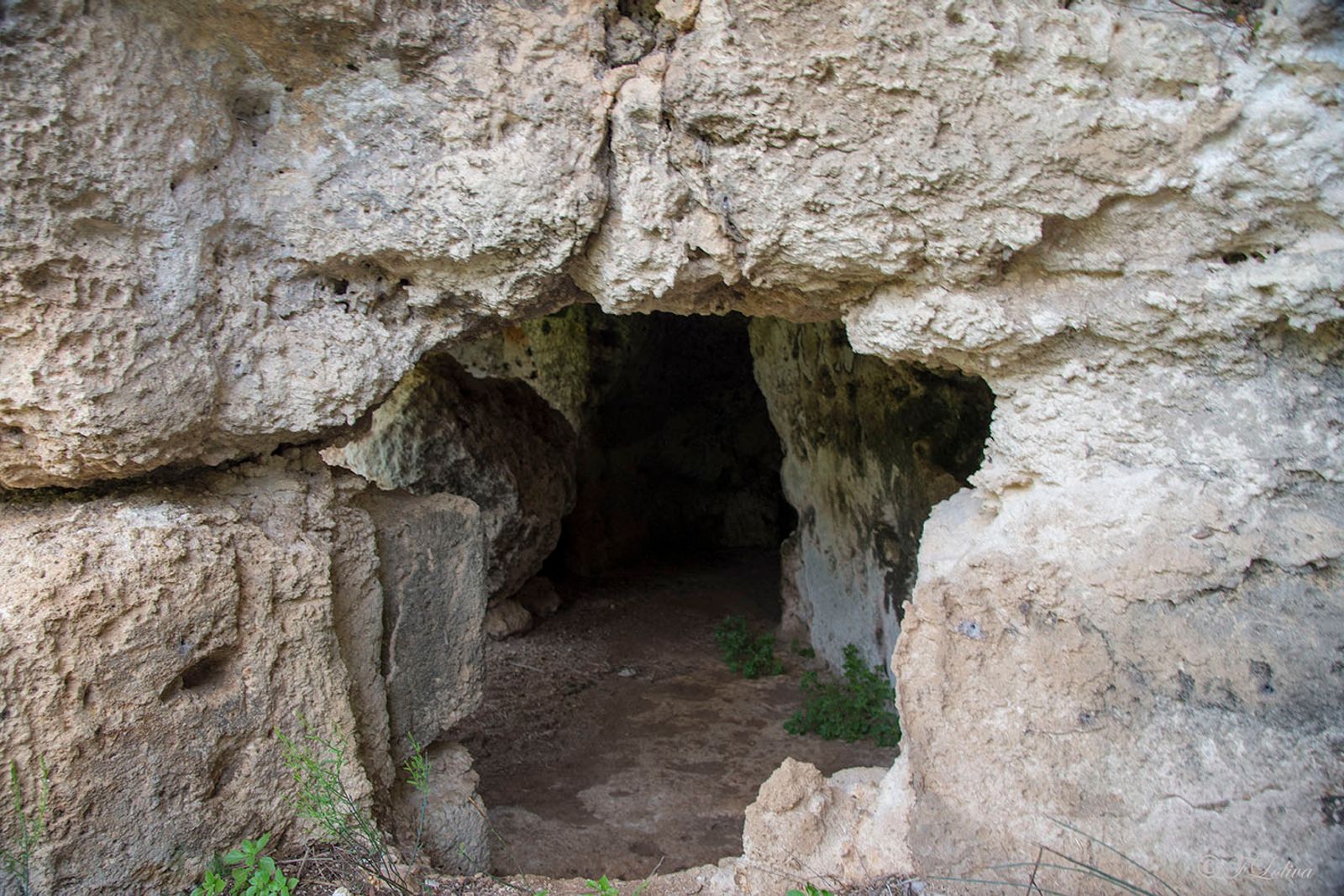 LAMA D'ANTICO - FASANO — fotografia 18 di Francesco Loliva