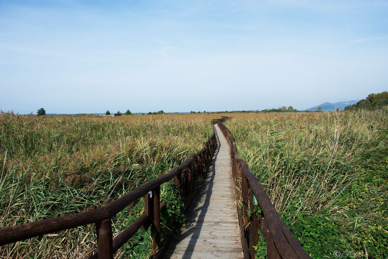 LAGO DI MASSACIUCCOLI — fotografia 9 di Francesco Loliva