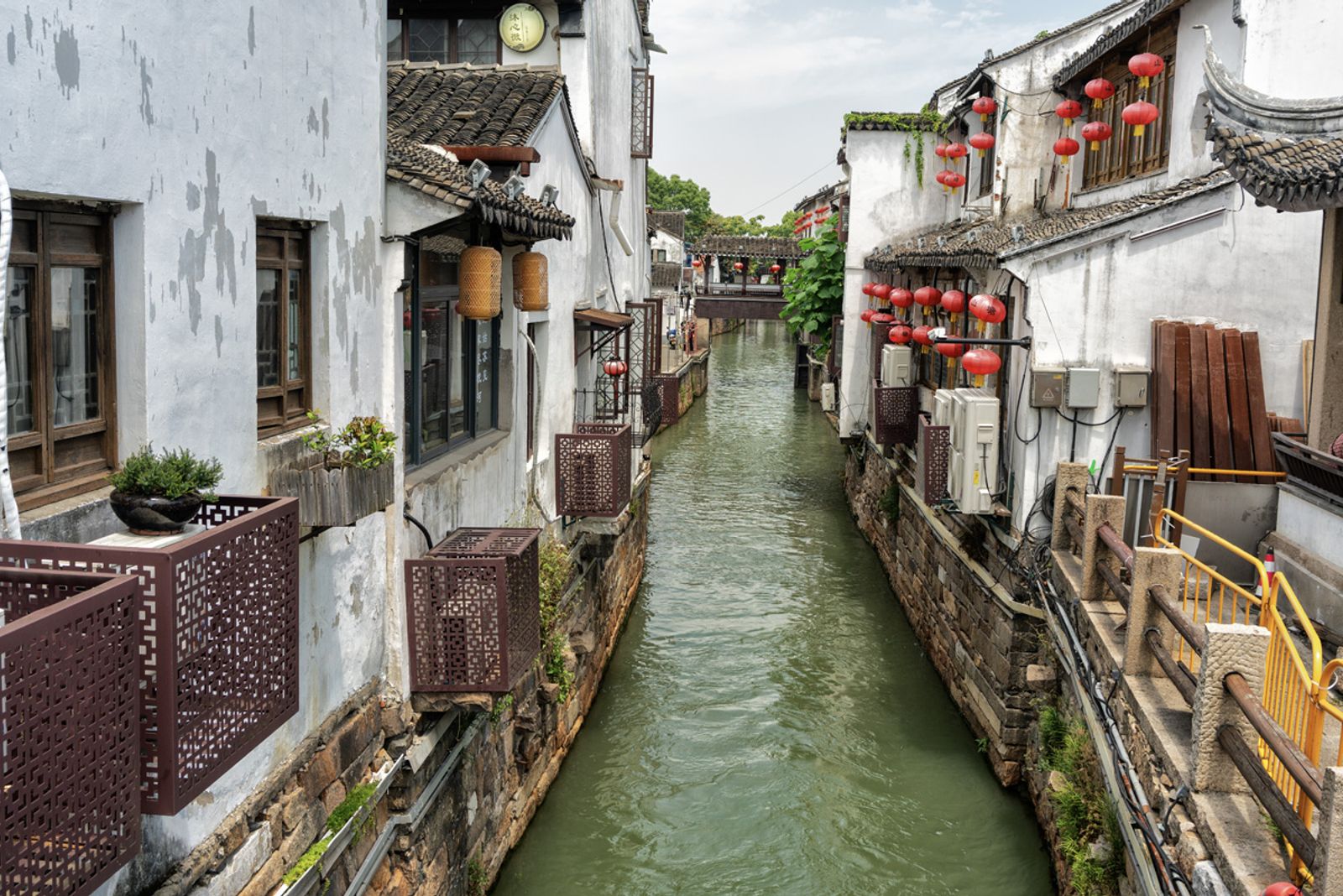 VIAGGIO A SHANGAI 2024 — fotografia 155 di Francesco Loliva