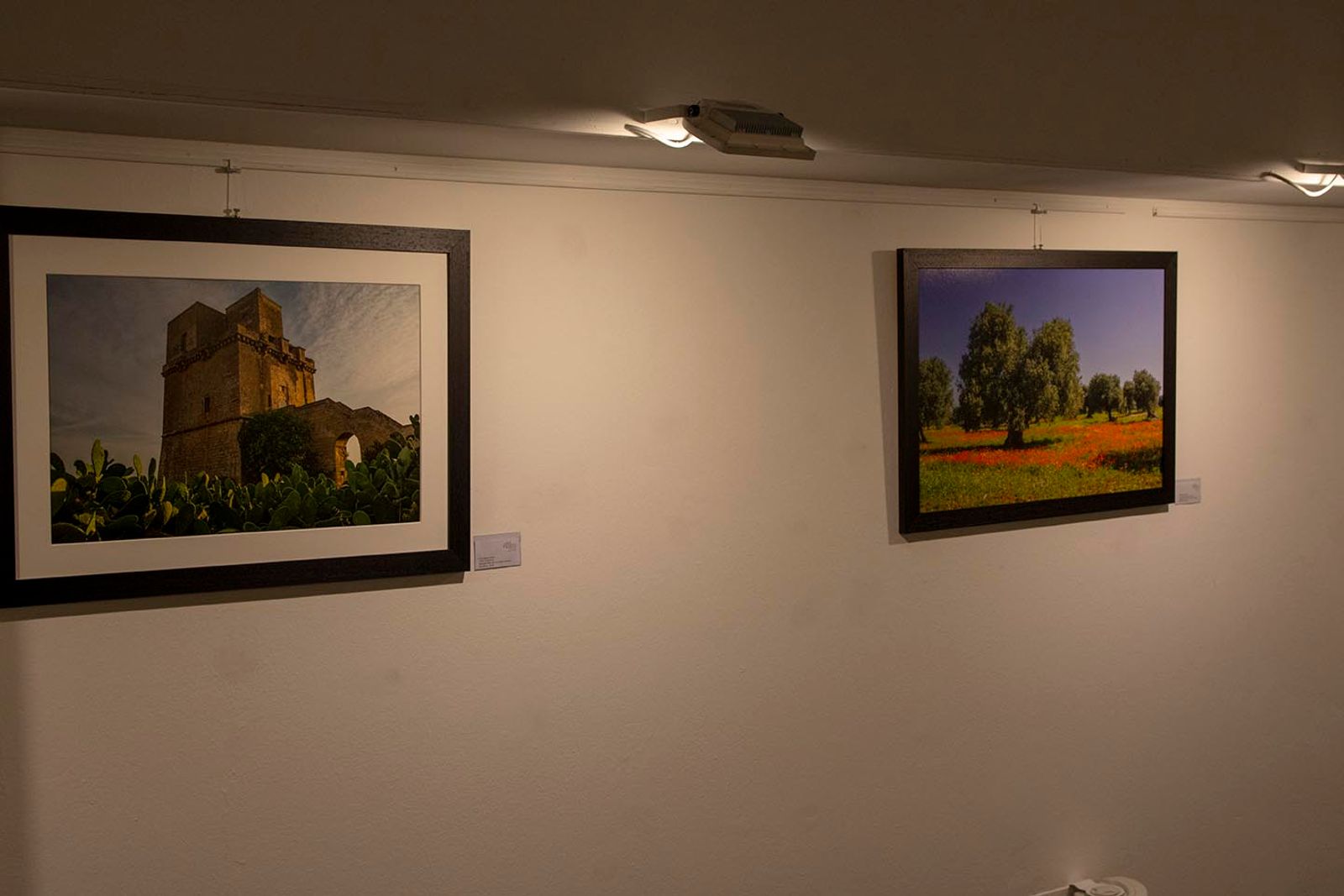 INARTE WERKKUNST GALLERY -BG — fotografia 8 di Francesco Loliva