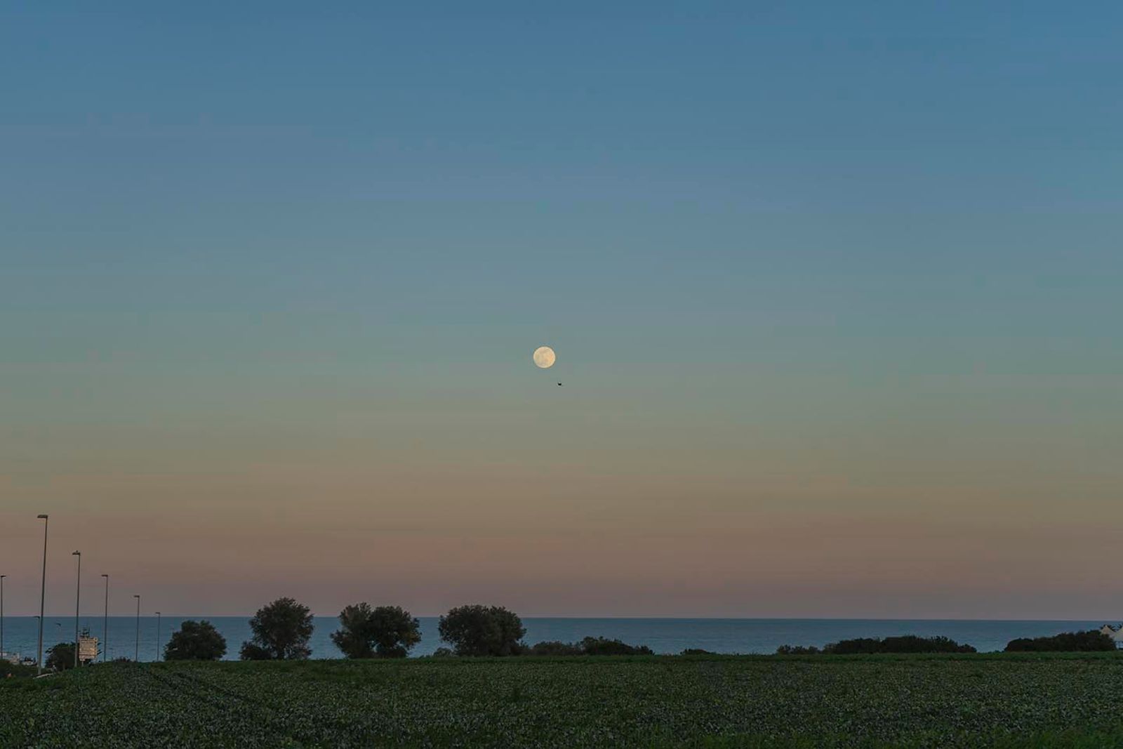 Full moon — fotografia 6 di Francesco Loliva
