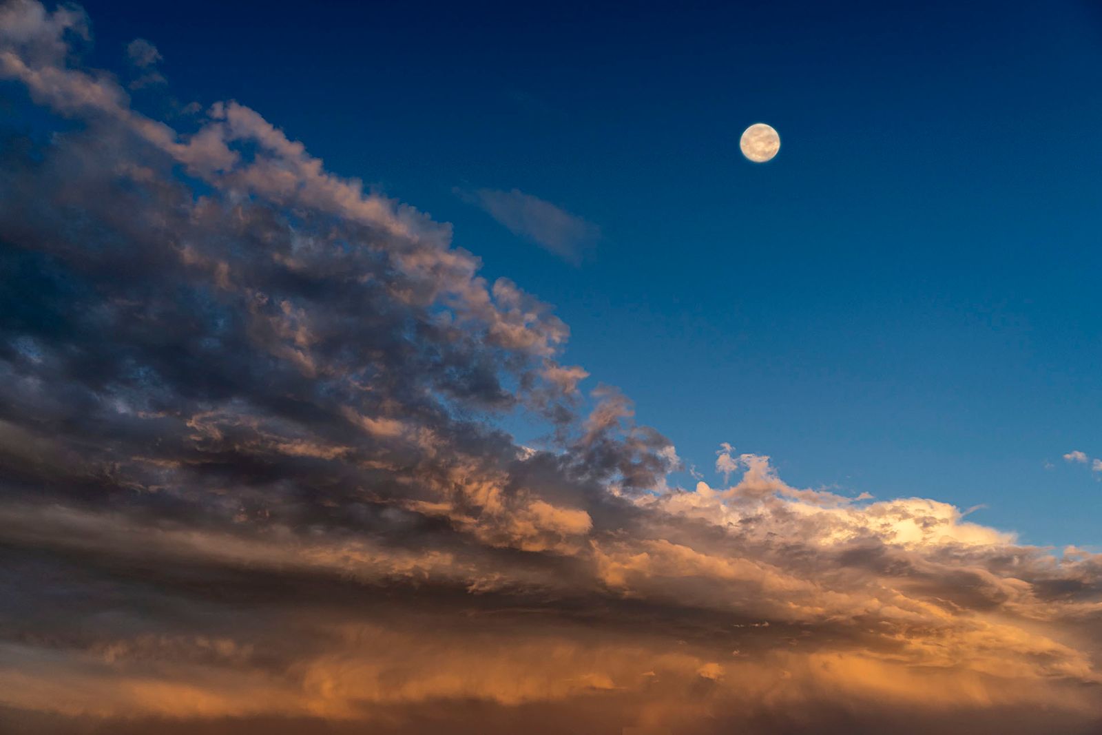 LUNA PIENA