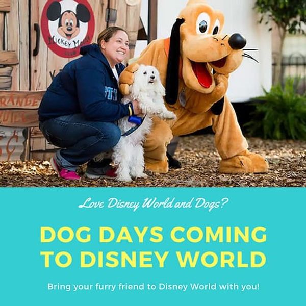 Bring Your Dog to Disney World!
