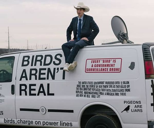 BREAKING: Disney World Birds Are Not Real