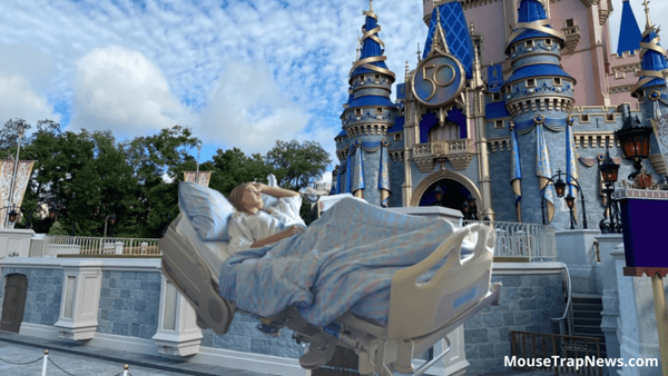Donate a Kidney, Get a Free Annual Pass to Disney World