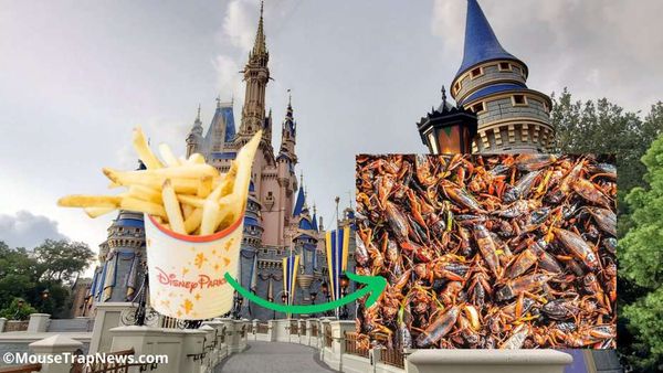 Crickets Replacing French Fries at Disney World