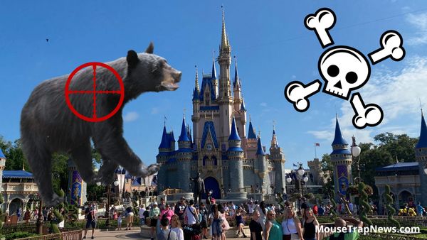 Disney Kills Black Bear Spotted Inside Magic Kingdom