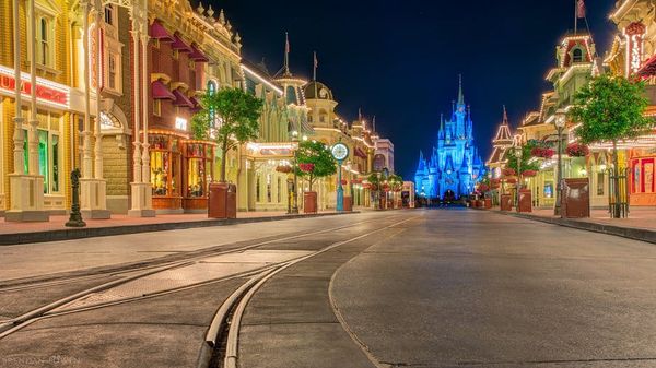 Rent Out Disney World for a Full Day