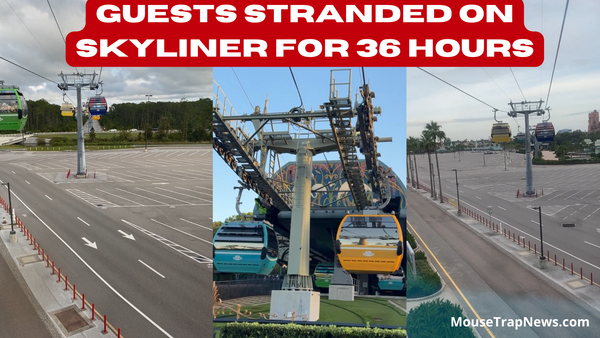 Riders Stranded For 36 Hours on Disney Skyliner