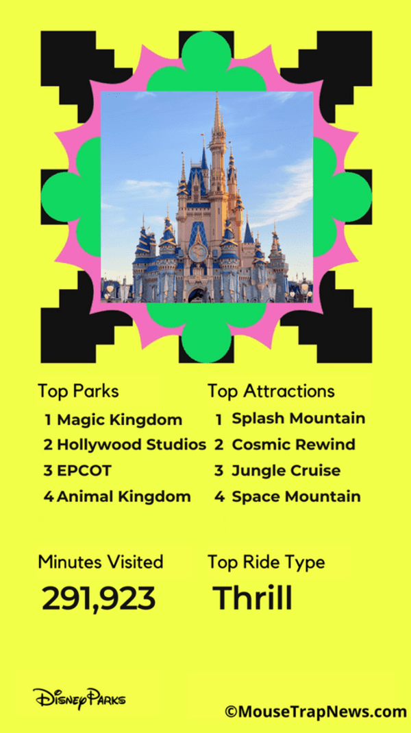 Disney Parks Wrapped Recaps Your Year at Disney