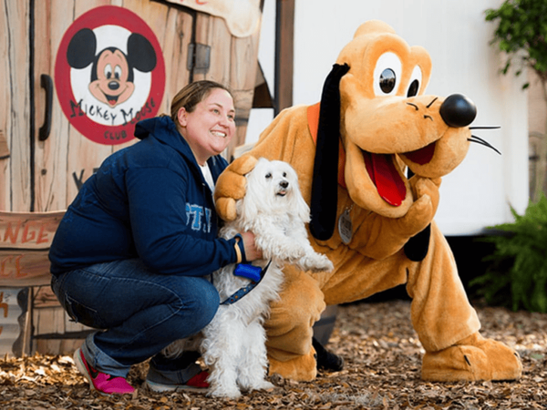 Disney World Now Selling Park Tickets for All Pets