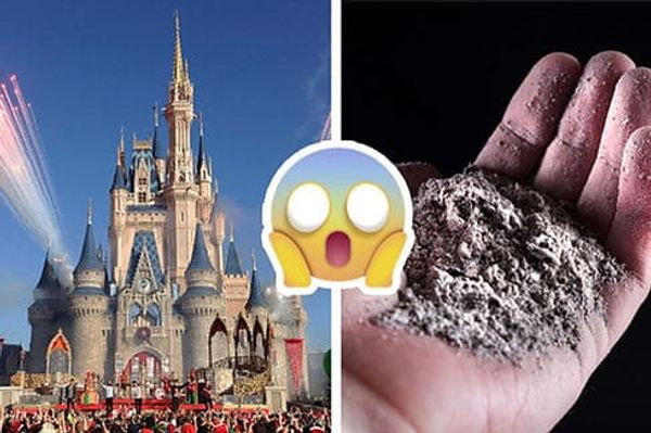 Legally Bury Loved Ones at Disney World