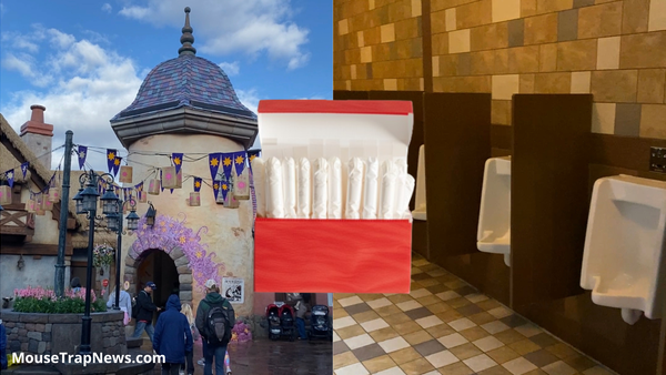 Disney World Adding Tampons to Men’s Restrooms