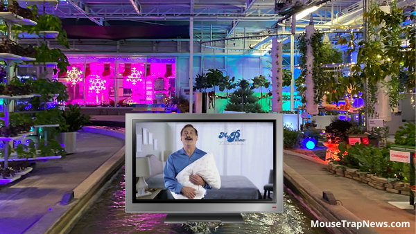 Disney Adding Advertisements on Rides to Make Money