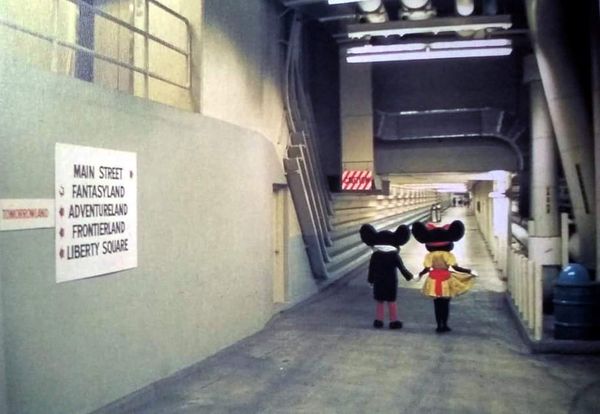 EXCLUSIVE: Secret Underground Fights at Walt Disney World