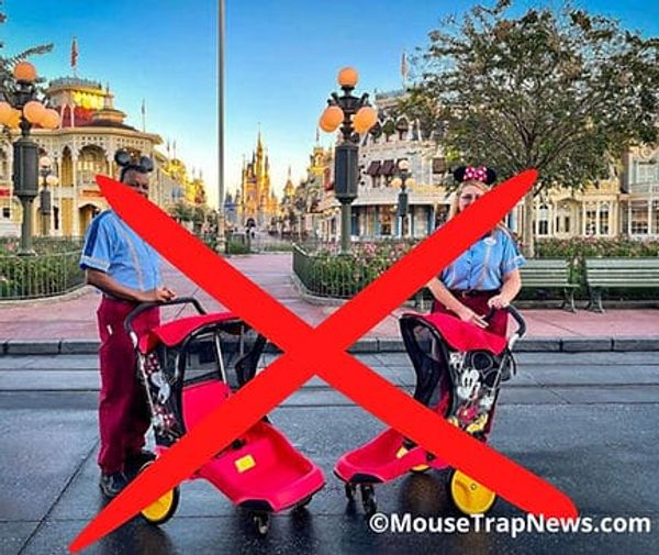 Stroller Free Sundays Coming to Disney World