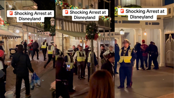 Man Arrested for Farting Inside Disneyland