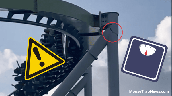 Weight Limit Coming to Disney World and Disneyland Rides