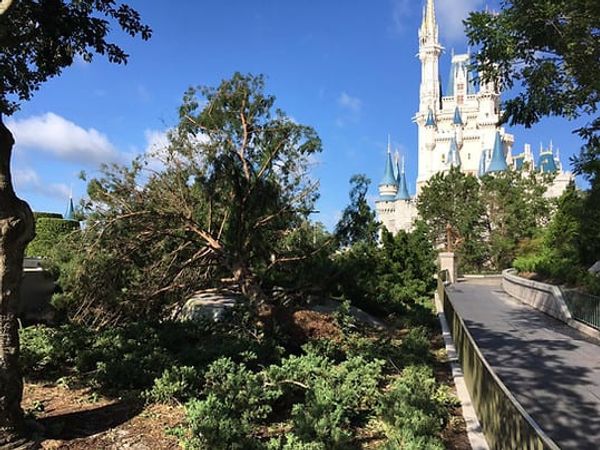 Disney World Testing New Hurricane Defense Technology