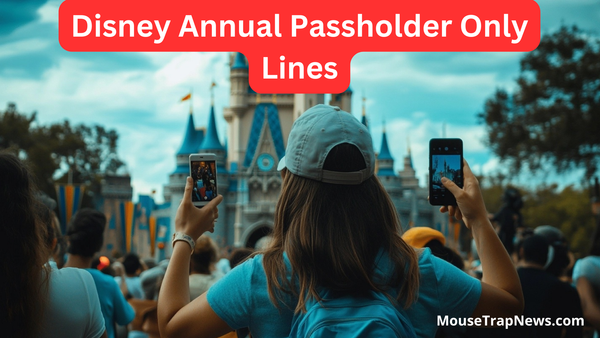Disney Adding Annual Passholder Lines to Rides
