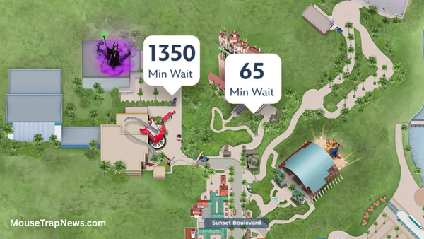 Rock ‘n’ Roller Coaster 1,350 Minute Wait on Final Day