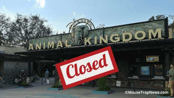 Animal Kingdom Ranked as The Worst Theme Park in America
