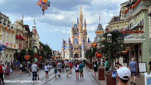 Kid Floats Away at Disney World holding Mickey Balloons