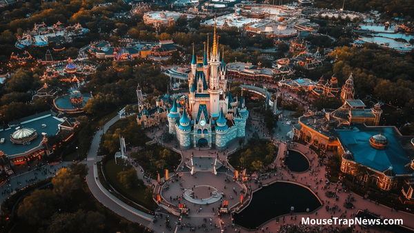 Breakings: Disney Buying Up Burned Land Following Fires