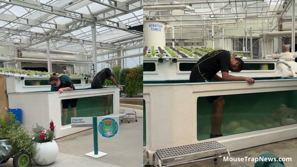 Guests Climb Into Fish Tank on Living With The Land